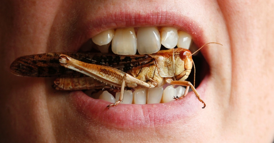 20set2012 mulher coloca gafanhoto entre os dentes em evento em bruxelas na belgica