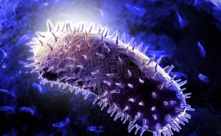25346223 ilustracion digital del virus de la rabia en el fondo de color