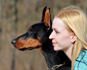 Woman dog friends 370x297 1