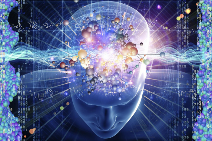 istock 000018892265large 1024x768 700x466 1