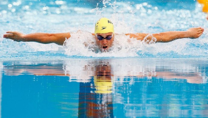 swimfly 700x398 1