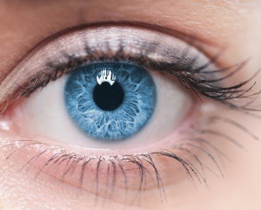 Human Eye 370x297 1