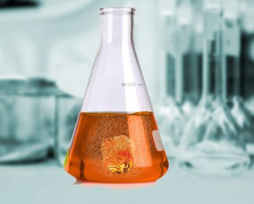 disolving chamical reaction 370x297 1