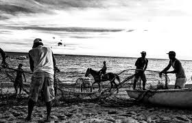 images 1 1