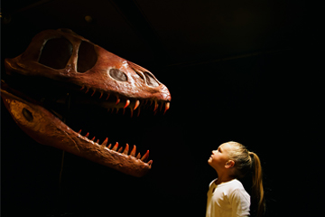 dinosaurs alive 1