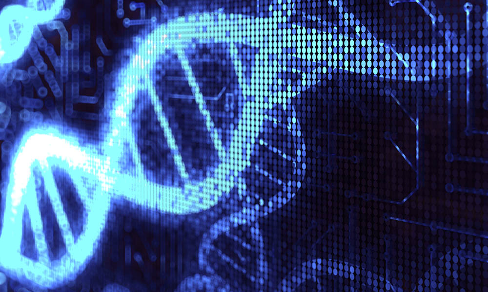 fake fabricated DNA
