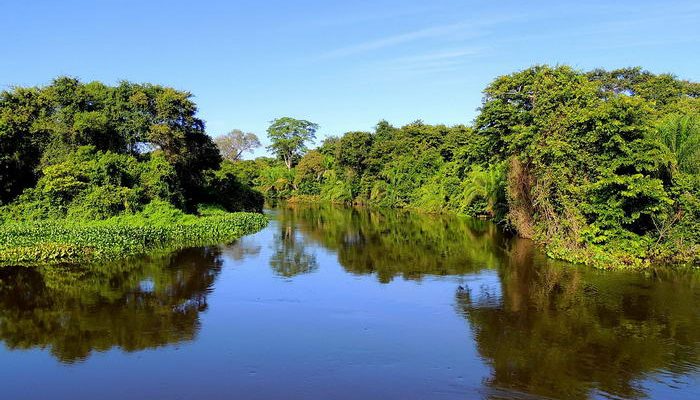 Pantanal 700x400 1