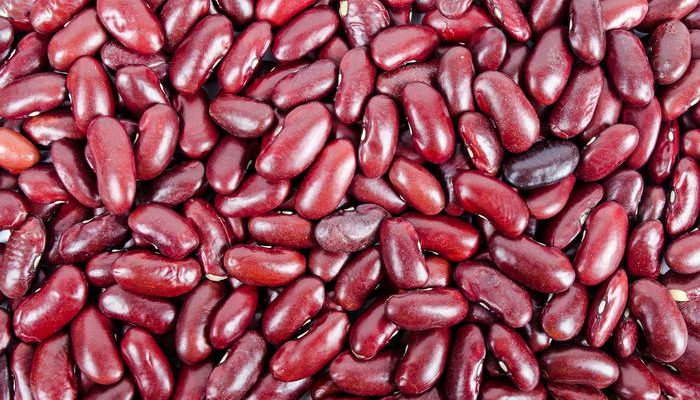 Red Kidney Beans 700x400 1