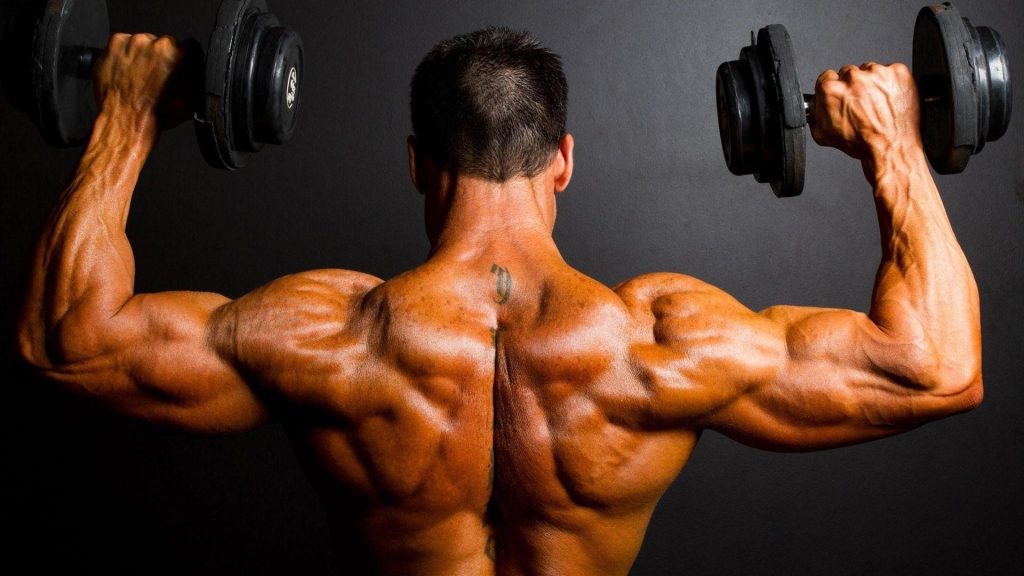 musculos contracao forca