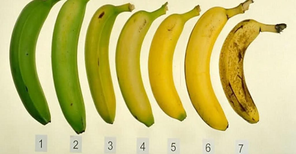 5d0a59187b25526e23498ffd0d4549f8