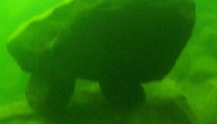 Lake MacDonalds Underwater Structure 700x400 1