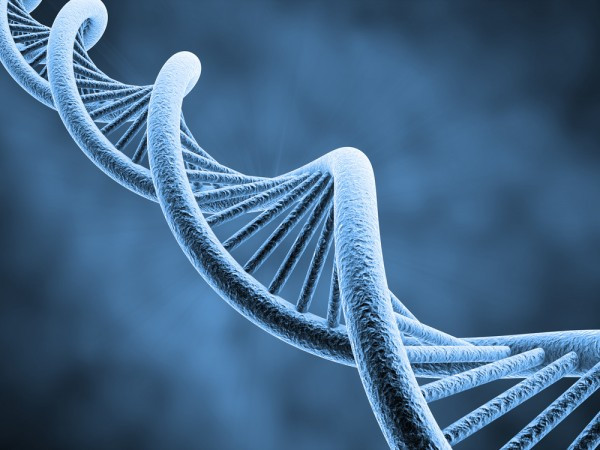 genetica2
