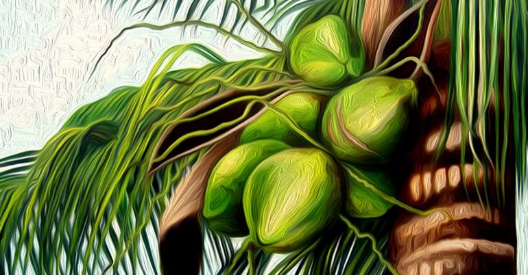 health benefits of coconut water 770x402 1