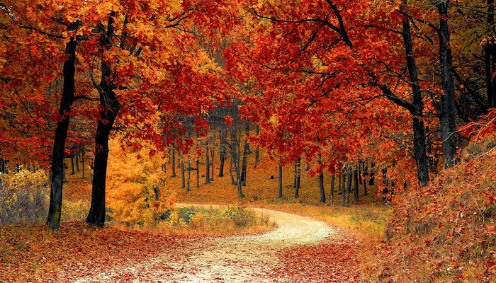 Nature 700x400 1