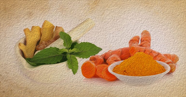 Top 6 Herbs For Immunity Building What Ayurveda Says 770x402 1