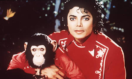 a96731 a477 bubbles chimp2
