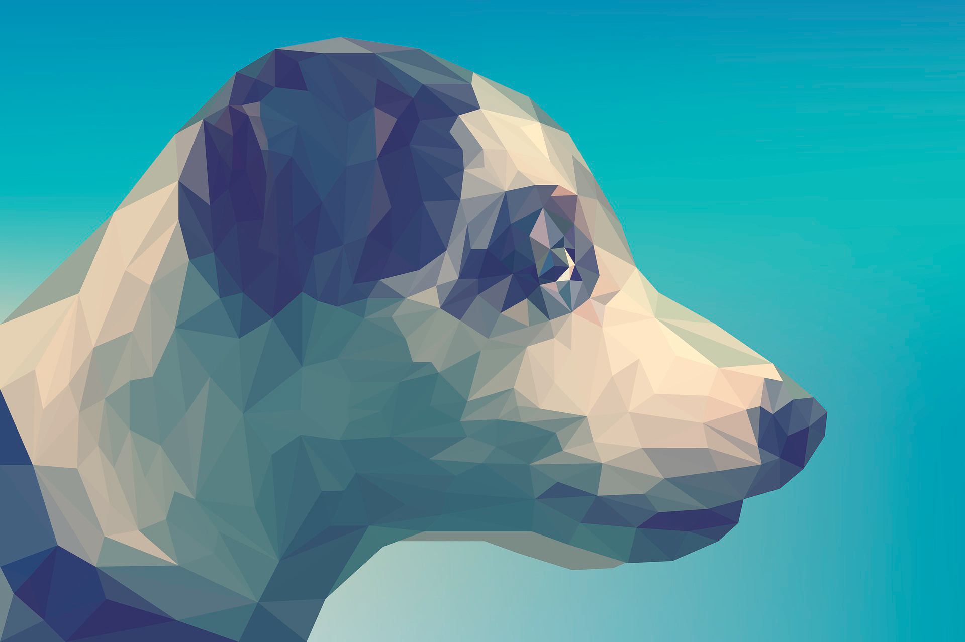 dog 3265713 1920