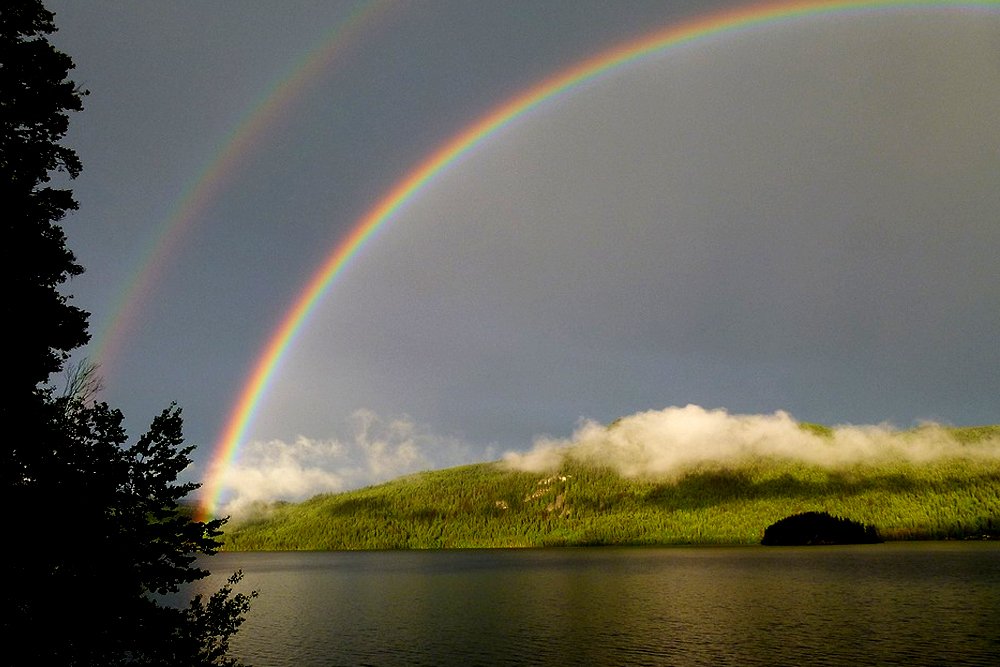 rainbow wallpaper 1