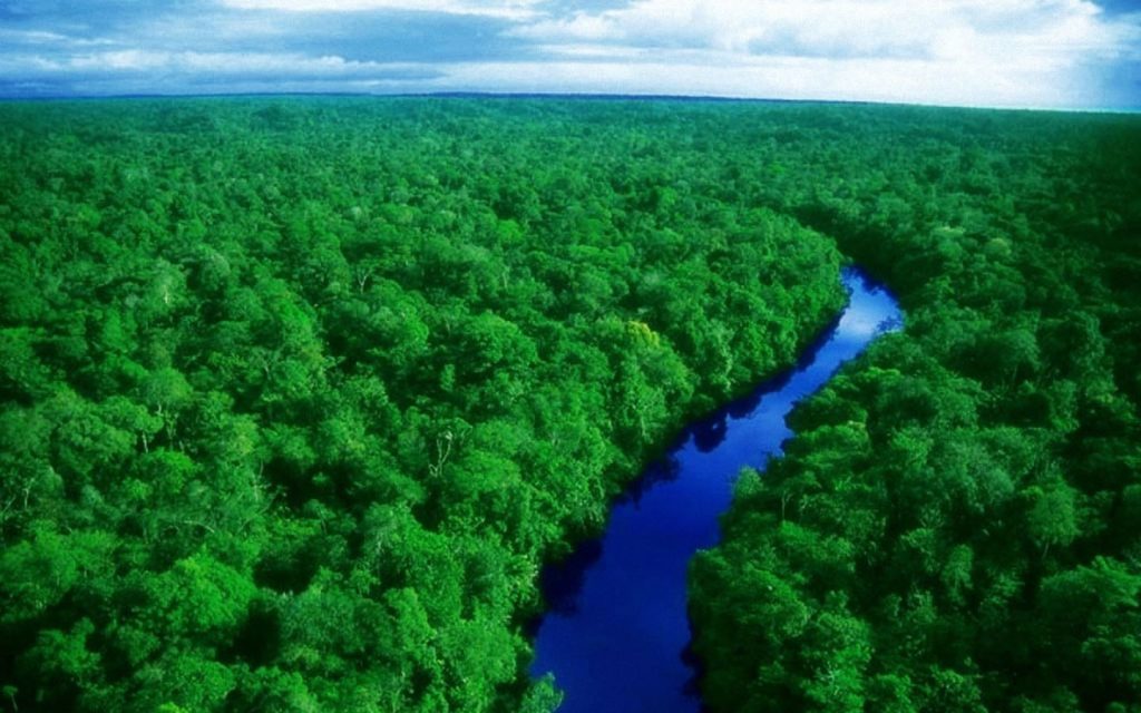 Floresta Amazonica