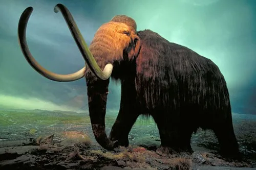 10 espécies animais extintas mais surpreendentes