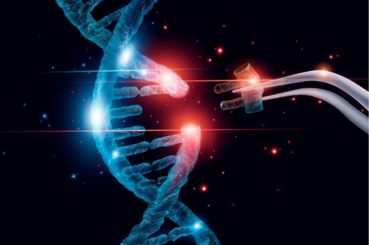 14 Curiosidades sobre mutação