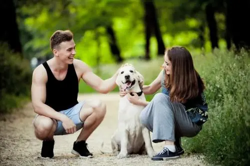 benefícios a saúde de possuir um cachorro