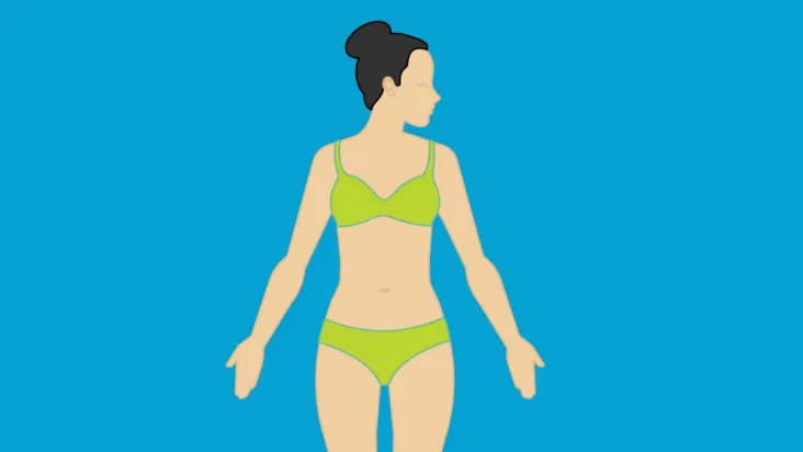 Fun Facts About The Human Body