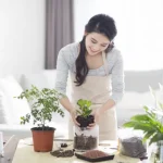 Health Benefits of Houseplants