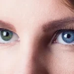 Human Chimeras