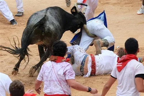 Running Of The Bulls