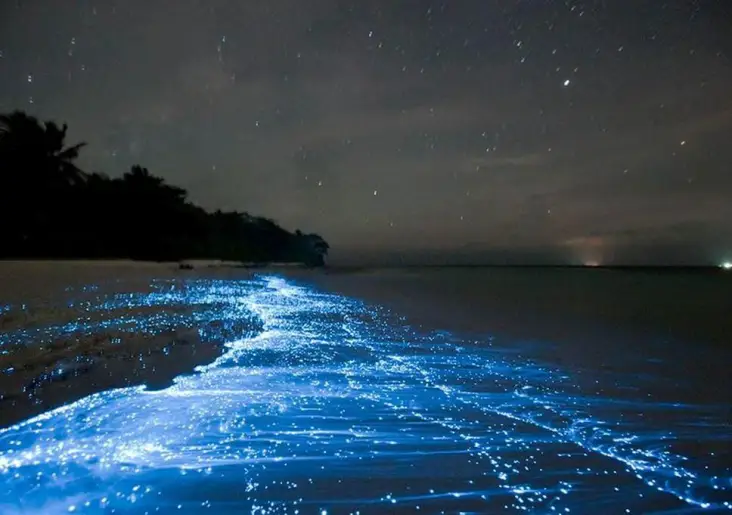 Sea of Stars Maldives
