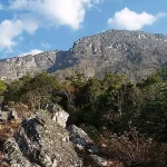binga