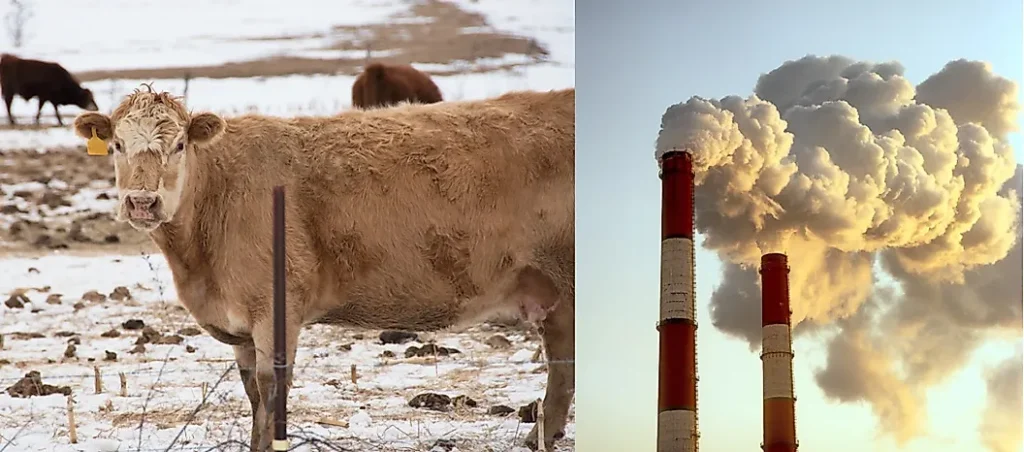 causes of global warming