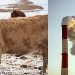 causes of global warming