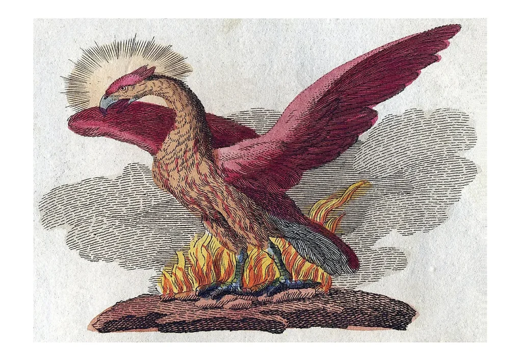 phoenix fabelwesen