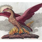 phoenix fabelwesen