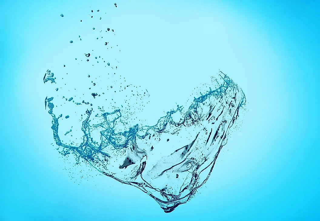 shutterstock 1665833935
