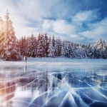 shutterstock 516137140