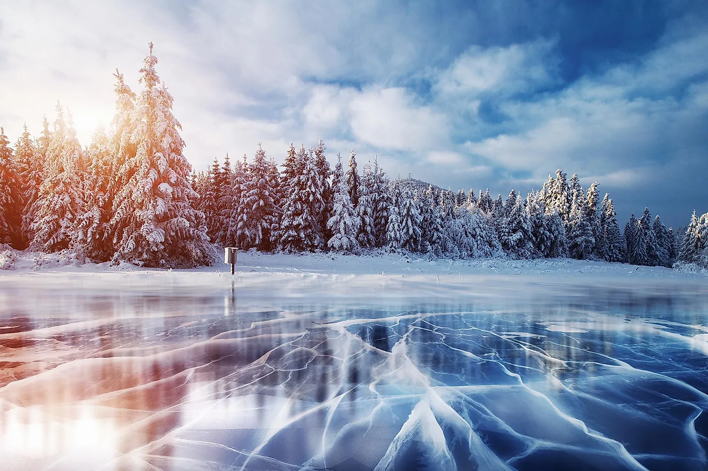 shutterstock 516137140
