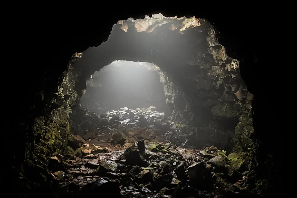 shutterstock 707700613