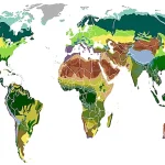vegetation