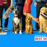 BEST DOG MOVIES