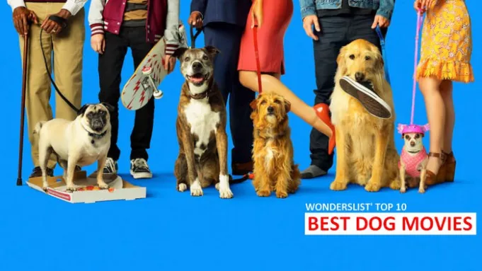 BEST DOG MOVIES