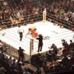 Fedor vs Coleman 720x400 1