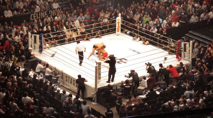 Fedor vs Coleman 720x400 1