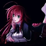 Rias Gremory High School DxD