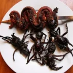Fried Spider and Snak