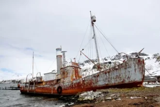 Moynoq Uzbekistan