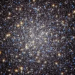 c68ac5af d16e 462e bf22 207b2ee66f1f