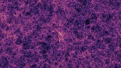 ab9971f6 e29e 44fc a337 1971e79d3403